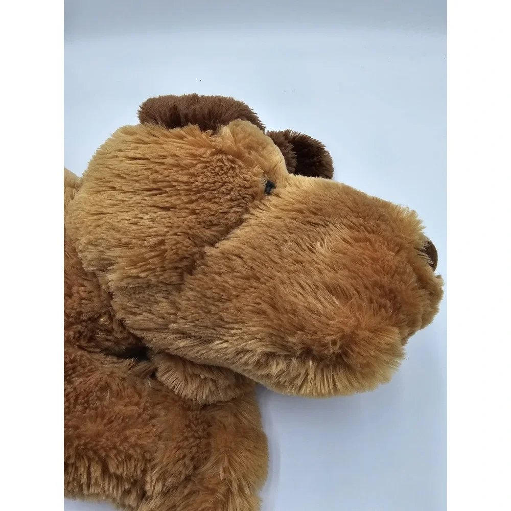 Dan Dee dan dee